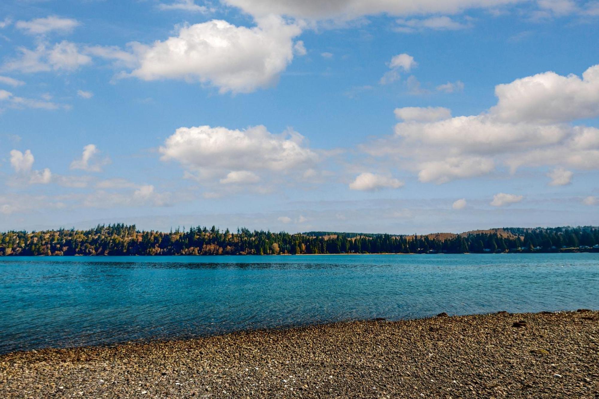 Ludlow Seaside Hale' * Port Ludlow